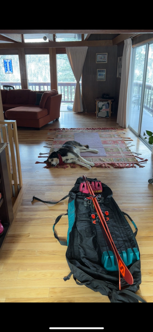 SINGLE SKI BLOCK | MAGNETIC