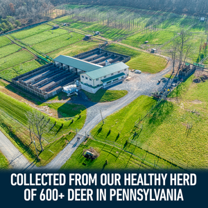 Deer Society Rut Package