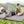 Indoor outdoor Sleeping mat with High density foam Cushion and Carrying Bag