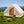 Inflatable Camping Tent 2/4/6 People Glamping Tent for Family Camping with Pump-Beige