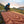 Insulated Static V Lite ECO Sleeping Pad - Orange