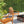 Jura Wooden Adirondack Lounge Chair