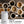 Blade Coffee Grinder, KF2040