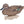 Flambeau Classic Green Winged Teal Decoy 6 Pk.