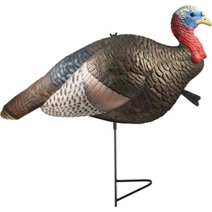 The Grind 1-2 Strut Jake Turkey Decoy