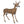 Flambeau Scrapper Buck Decoy With Carry Case