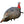 Avian X Quarter Strut Jake Turkey Decoy