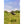 Flextone Thunder Jake Turkey Decoy