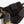 Warden Chest Holster