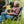 GCI Outdoor Kickback Rocker Portable Rocking Chair & Outdoor - Case Pack Bundle