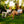 GCI Outdoor Kickback Rocker Portable Rocking Chair & Outdoor - Case Pack Bundle