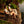 GCI Outdoor Kickback Rocker Portable Rocking Chair & Outdoor - Case Pack Bundle