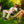 GCI Outdoor Kickback Rocker Portable Rocking Chair & Outdoor - Case Pack Bundle