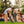 GCI Outdoor Kickback Rocker Portable Rocking Chair & Outdoor - Case Pack Bundle