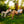 GCI Outdoor Kickback Rocker Portable Rocking Chair & Outdoor - Case Pack Bundle