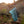 Horizon Backpacking Blanket - Blue