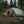 Maxfield 2 Tent - Orange/Grey