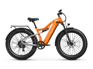 Labrador Pro Ebike