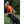 Upland Performance Fleece - XXS & XS Only