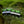 Addicted Advantage Bead Hook 10 Pack - TRAPSKI