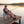 Lightweight Folding Camping Chair with Side Table