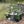 Longship Series 110 QT Cooler