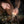 M-Tac Tactical Fire Starter