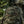 M-Tac Patch Strela-10 PVC