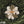 M-Tac Patch PFM-1 Petal