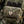M-Tac Patch PFM-1 Petal