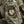 M-Tac Patch PFM-1 Petal