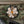 M-Tac Patch PFM-1 Petal