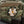 M-Tac Patch PFM-1 Petal