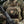 M-Tac Patch PFM-1 Petal