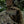 M-Tac Patch BMP-1 PVC