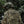 M-Tac Patch BMP-1 PVC