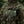 M-Tac Patch ZU-23 PVC