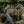 M-Tac Patch BMP-2 PVC