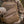 M-Tac Plate Carrier Lower Accessory Pouch Large