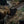 M-Tac Patch Red Beard