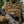 M-Tac Morale Patch Bradley (PVC)