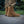 M-Tac Tactical Summer Boots