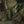 M-Tac Plate Carrier Cuirass Elite