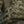 M-Tac Plate Carrier Cuirass Elite