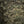 M-Tac Plate Carrier Cuirass Elite