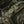 M-Tac Plate Carrier Cuirass Elite