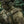 M-Tac Plate Carrier Cuirass Elite