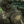 M-Tac Plate Carrier Cuirass Elite