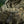 M-Tac Plate Carrier Cuirass Elite