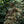 M-Tac Plate Carrier Cuirass Elite